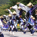 あっぱれ祭り（よさこい⑤）「ウエーブ」