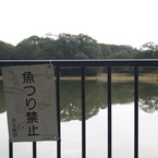 荒れる　その5