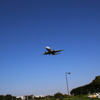 飛行機
