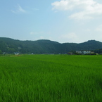 IMGP1552