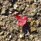 IMGP0378