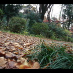 DSC01825