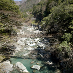 snap0319_005