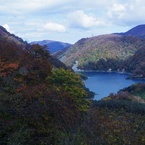  Red leaves of autumn