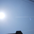 太陽に向かって