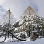 雪吊り