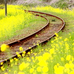 線路のある風景Ⅴ～夢の中～