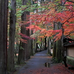 佛通寺 (1) 15.11.09