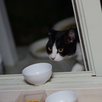 じゃあ私が