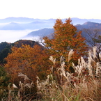 晩秋の見晴らし