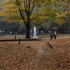 秋を踏みしめて