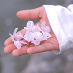 手のひらにも春いっぱい♪