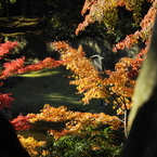 円覚寺にて－３