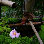 京都年の瀬散歩－初冬の蹲踞－