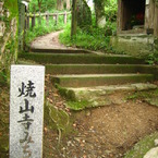 Road 88