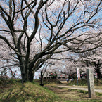 桜町陣屋