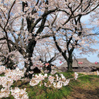 桜町陣屋