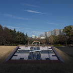 新年の日比谷公園6