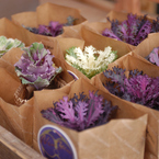 FLOWER SHOP 04