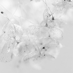 睦月の頃 (5)
