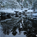 曲水