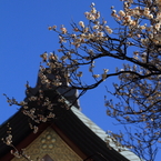 湯島天満宮5