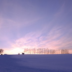 夕映えの美瑛１