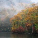 鎌池 (5)