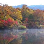 鎌池 (6)