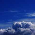 BLUE and WHITE 