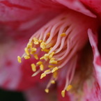 DSC00305