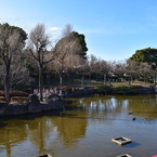 川崎　大師公園　瀋秀園