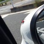 ロードスターと赤い虫（夏）