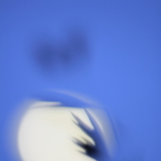 月影