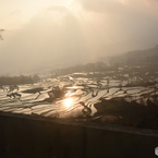 多依树梯田#7