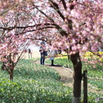 庄原　備北丘陵公園１８
