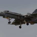 軍馬 F/A-18 レガシーホーネット