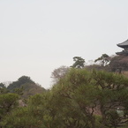 AUTO MAIMIYA-SEKOR 50/2