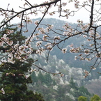 広島_御調八幡宮借景3