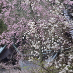 広島_御調八幡宮借景5