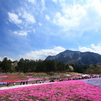 羊山公園