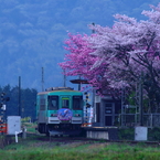 播磨横田の春