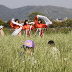 花の迷路で