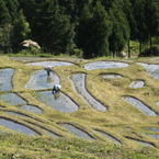 上昇気流