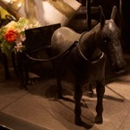 Another Horse