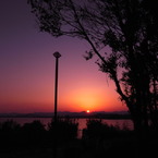 夕日と木