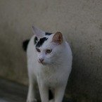 繁華街の朝