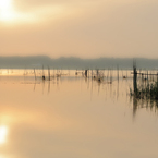 Quiet morning-009