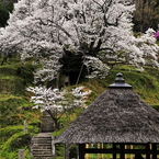 仏隆寺