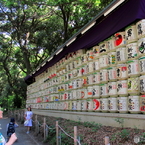 新緑の明治神宮6